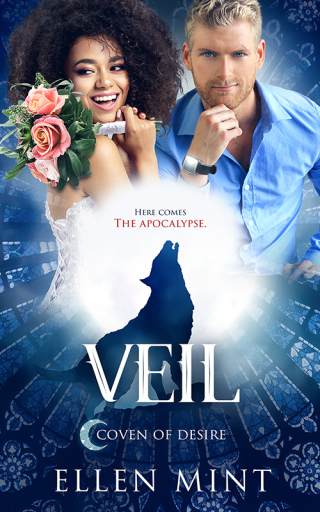 Cover image: Veil 9781802508680