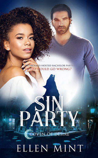 Cover image: Sin Party 9781802508734