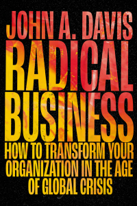 Titelbild: Radical Business 9781802628081