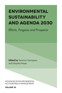 صورة الغلاف: Environmental Sustainability and Agenda 2030 9781802628807