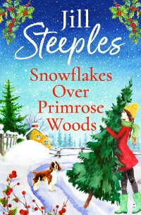 Titelbild: Snowflakes Over Primrose Woods 9781802807035