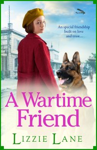 Cover image: A Wartime Friend 9781802808025