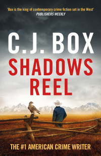 Cover image: Shadows Reel 1st edition 9781803283944