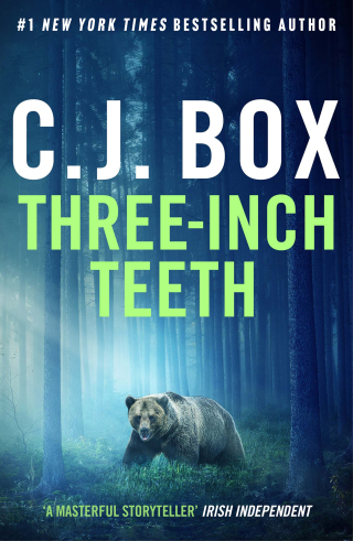 Cover image: Three-Inch Teeth 1st edition 9781803284040