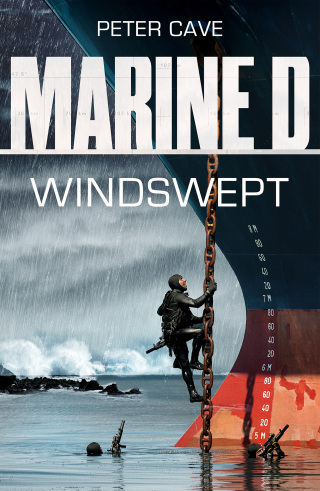 Cover image: Marine D SBS: Windswept 1st edition