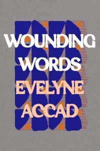 Cover image: Wounding Words 1st edition 9781035900978