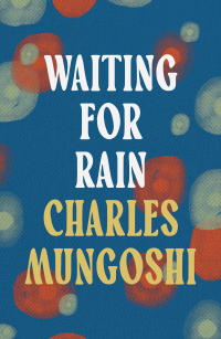 Cover image: Waiting for the Rain 1st edition 9781035900527