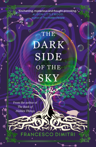 Cover image: The Dark Side of the Sky 9781803362786