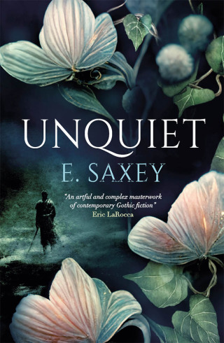 Cover image: Unquiet 9781803364469