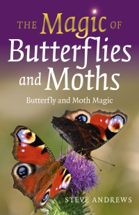 Imagen de portada: The Magic of Butterflies and Moths 9781803410524
