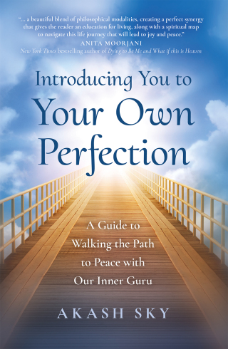 Cover image: Introducing You to Your Own Perfection 9781803411415
