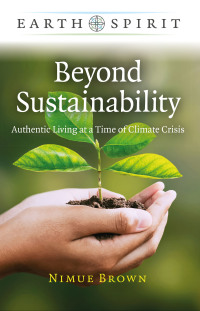 Cover image: Beyond Sustainability 9781803411606