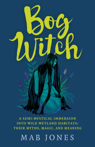Cover image: Bog Witch 9781803411866