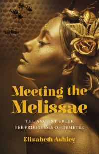 Imagen de portada: Meeting the Melissae 9781803412498