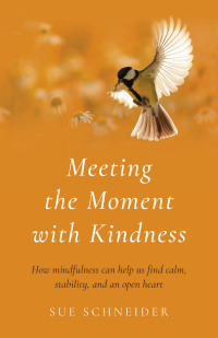 Cover image: Meeting the Moment with Kindness 9781803413280