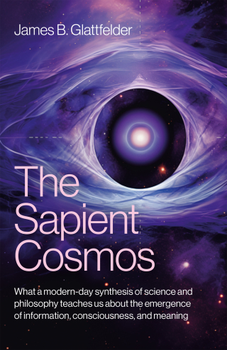 Cover image: The Sapient Cosmos 9781803414041