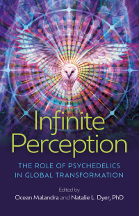 Cover image: Infinite Perception 9781803414607