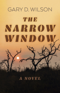 Imagen de portada: The Narrow Window 9781803414621