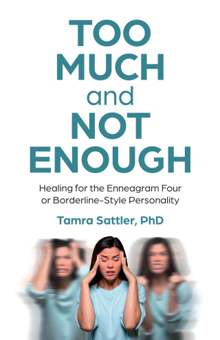 Imagen de portada: Too Much and Not Enough 9781803415499
