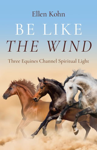 Cover image: Be Like the Wind 9781803416014