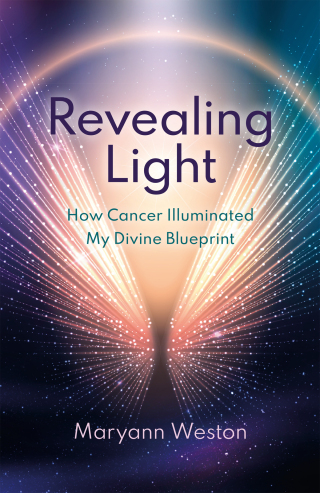 Cover image: Revealing Light 9781803417301