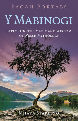 Cover image: Pagan Portals: Y Mabinogi 9781803416649