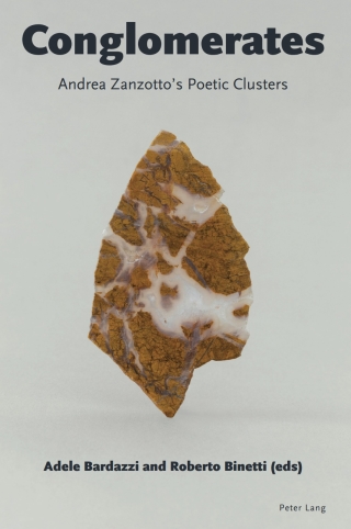 表紙画像: Conglomerates 1st edition 9781803740522