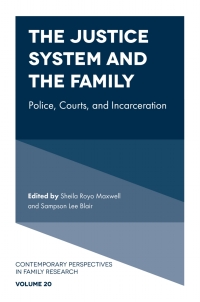 Imagen de portada: The Justice System and the Family 9781803823607