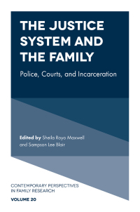 Cover image: The Justice System and the Family 9781803823607