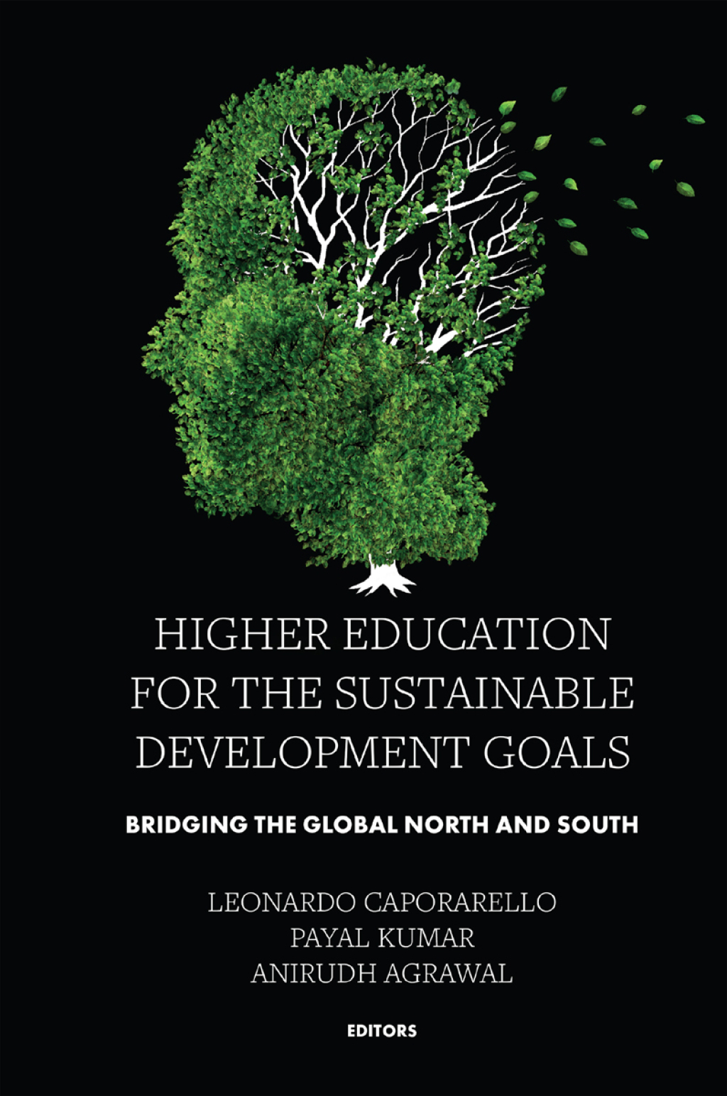 Higher Education for the Sustainable Development Goals Bridging the Global North and South