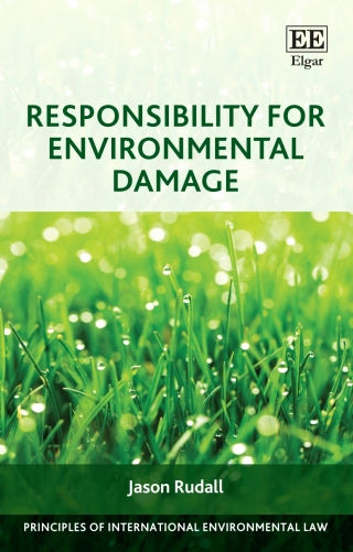 Cover image: Responsibility for Environmental Damage 1st edition 9781803920702