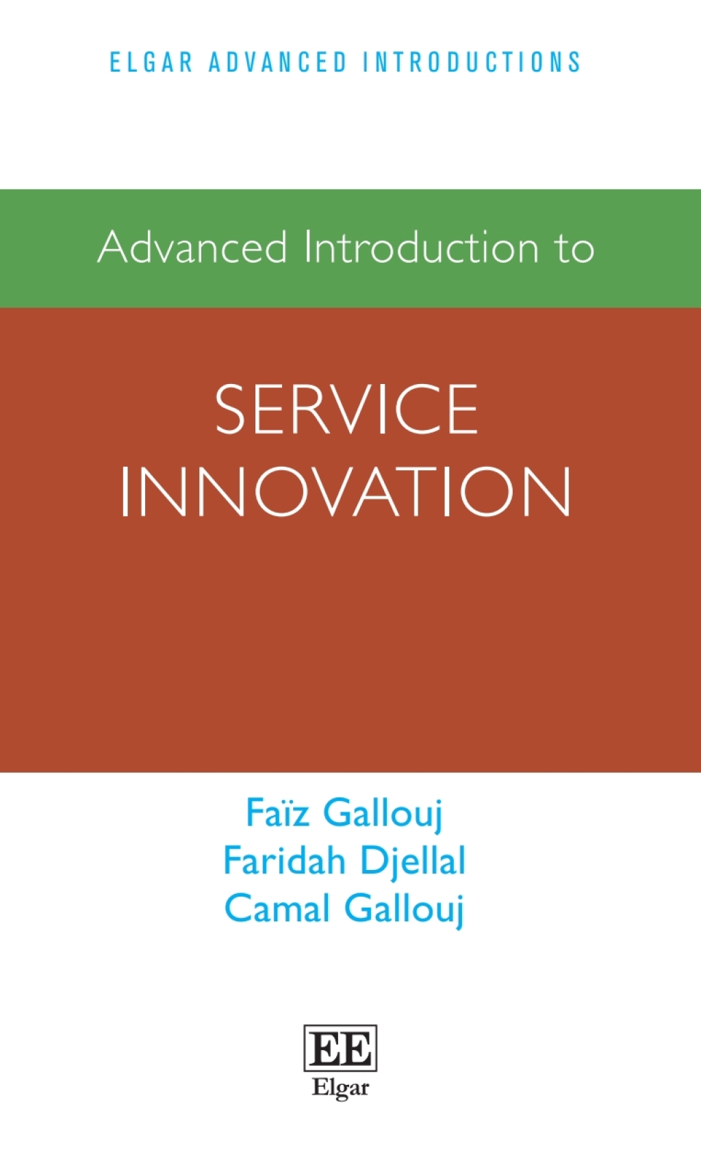 Advanced Introduction to Service Innovation 1st Edition