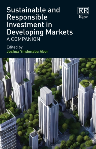 Cover image: Sustainable and Responsible Investment in Developing Markets 1st edition 9781803927053