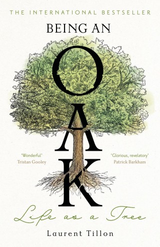 Cover image: Being an Oak 9781804183380