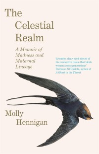 Omslagafbeelding: The Celestial Realm: SHORTLISTED FOR THE SUNDAY INDEPENDENT NEWCOMER OF THE YEAR IRISH BOOK AWARDS