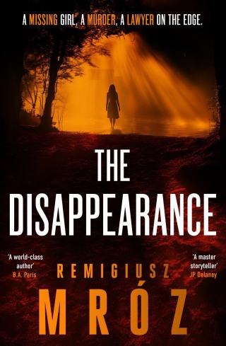 Cover image: The Disappearance 9781804187647