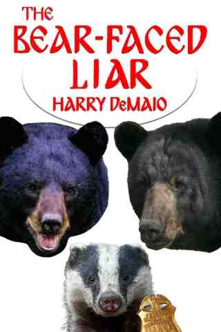 Cover image: The Bear Faced Liar 1st edition 9781804240885