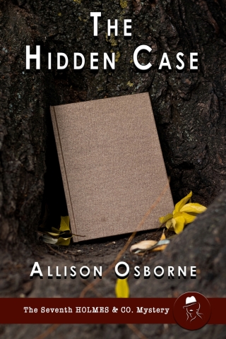 Cover image: The Hidden Case 1st edition 9781804244432