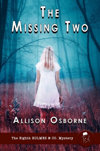Imagen de portada: The Missing Two 1st edition 9781804244463