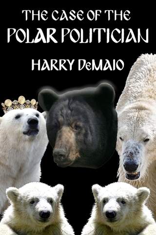 Cover image: The Case of the Polar Politician 1st edition 9781804244524