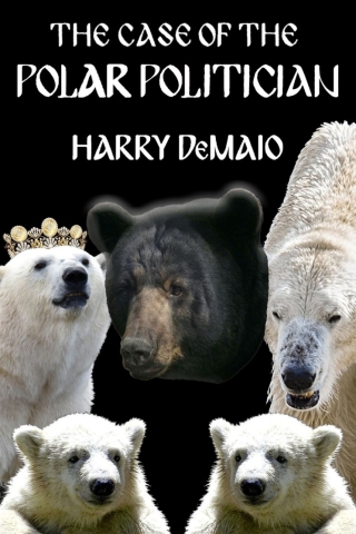 表紙画像: The Case of the Polar Politician 1st edition 9781804244524