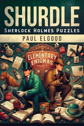 Cover image: SHURDLE 1st edition 9781804245231