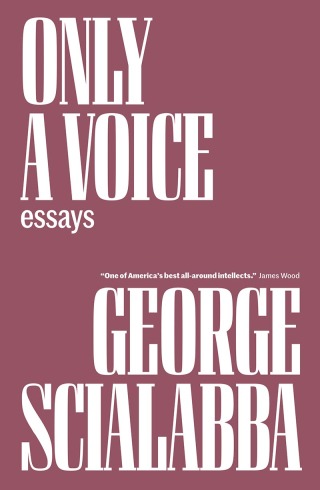 Cover image: Only a Voice 9781804292006