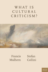 Cover image: What Is Cultural Criticism? 9781804293379