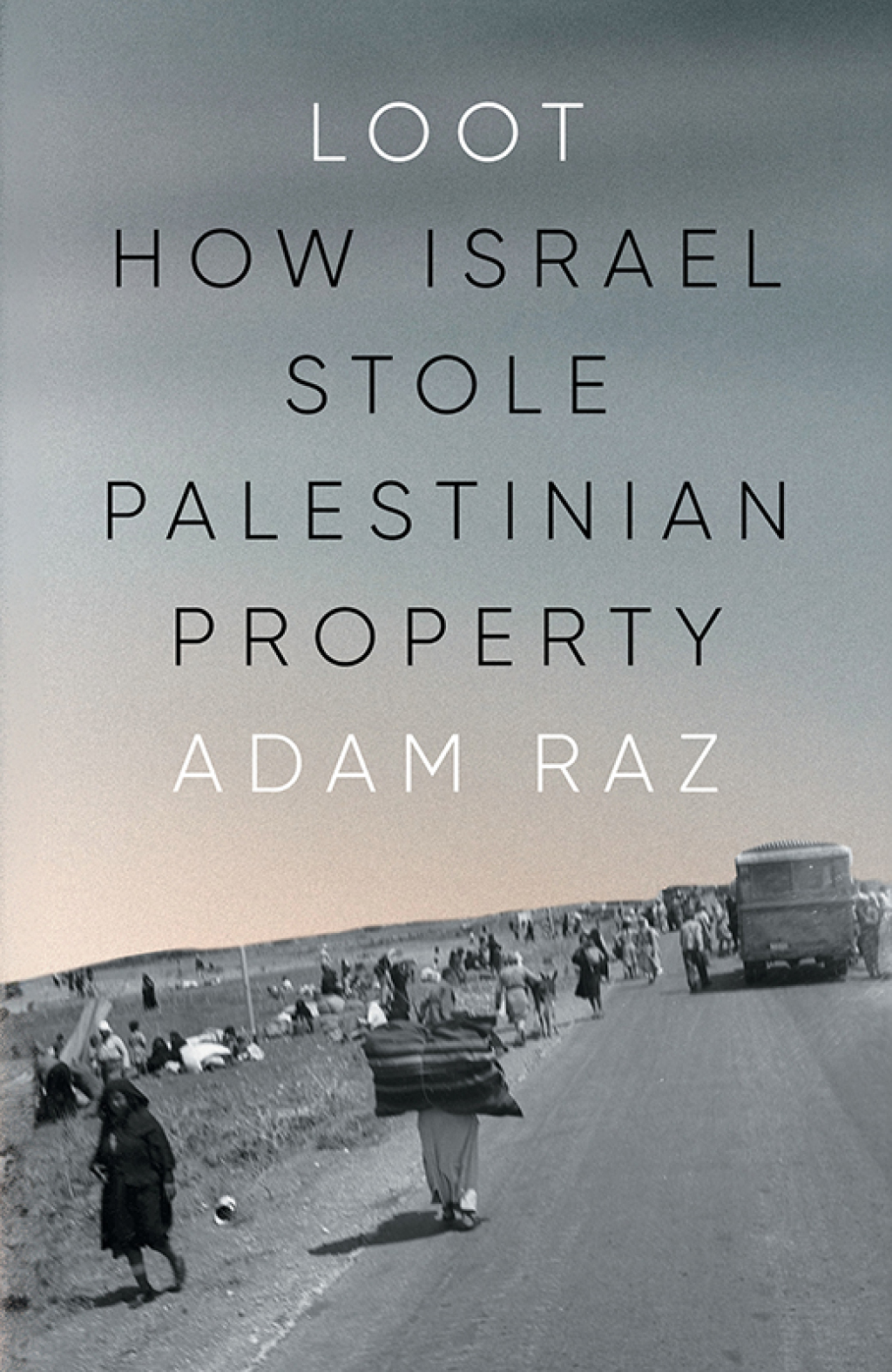 Loot How Israel Stole Palestinian Property