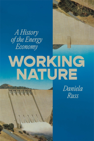Imagen de portada: Working Nature 9781804298978