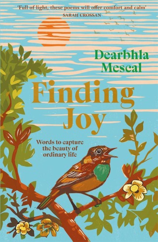 Omslagafbeelding: Finding Joy