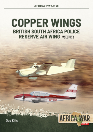 Imagen de portada: Copper Wings 9781804513620