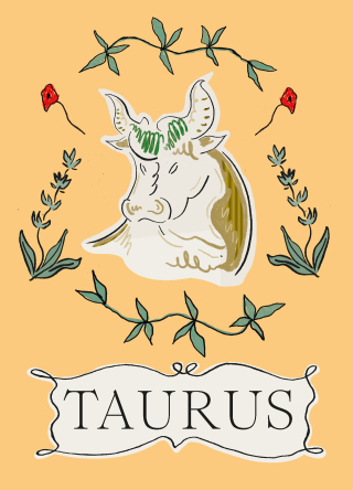 Cover image: Taurus 9781914317941