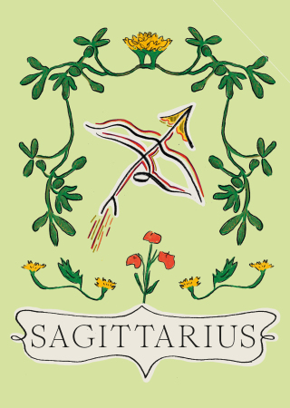 Cover image: Sagittarius 9781804530016